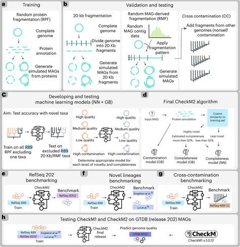 checkm2|checkm genome.